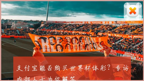 支付宝能否购买世界杯体彩？专访内部人士为你解答
