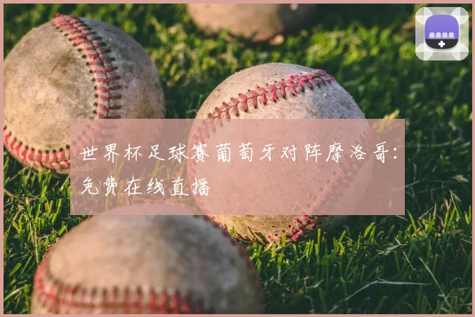 世界杯足球赛葡萄牙对阵摩洛哥：免费在线直播