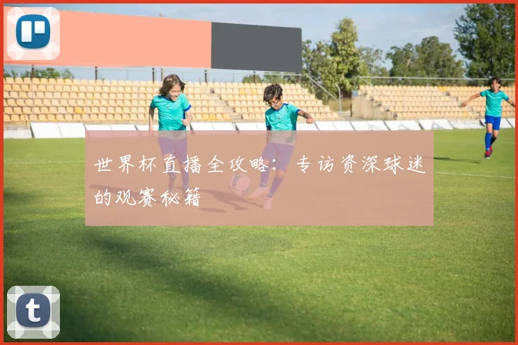世界杯直播全攻略:专访资深球迷的观赛秘籍