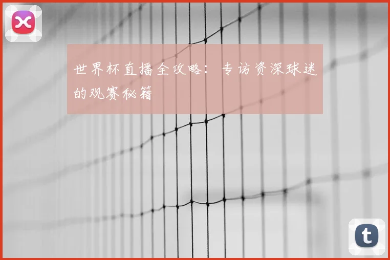 世界杯直播全攻略:专访资深球迷的观赛秘籍