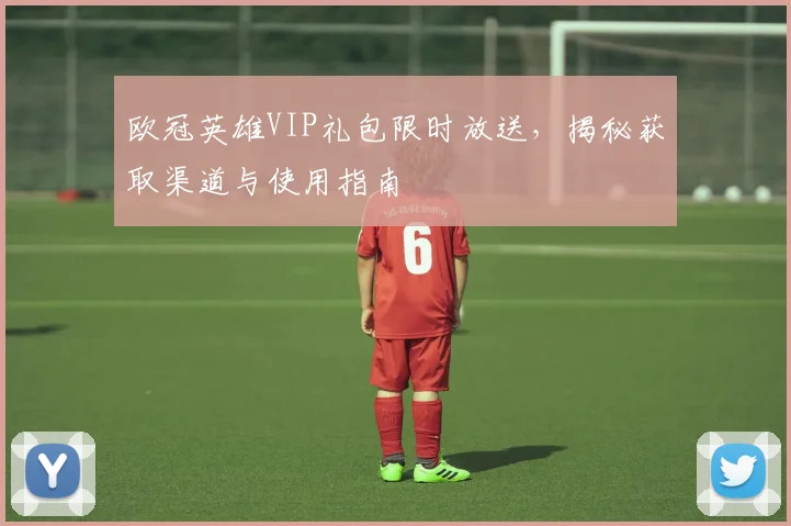 欧冠英雄VIP礼包限时放送，揭秘获取渠道与使用指南